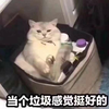 叶落孤