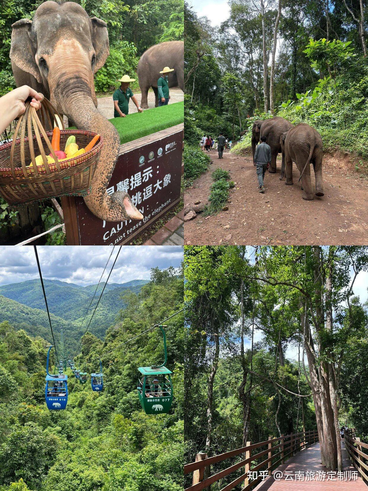 西雙版納旅遊攻略必去景點2個人去西雙版納3天要多少錢