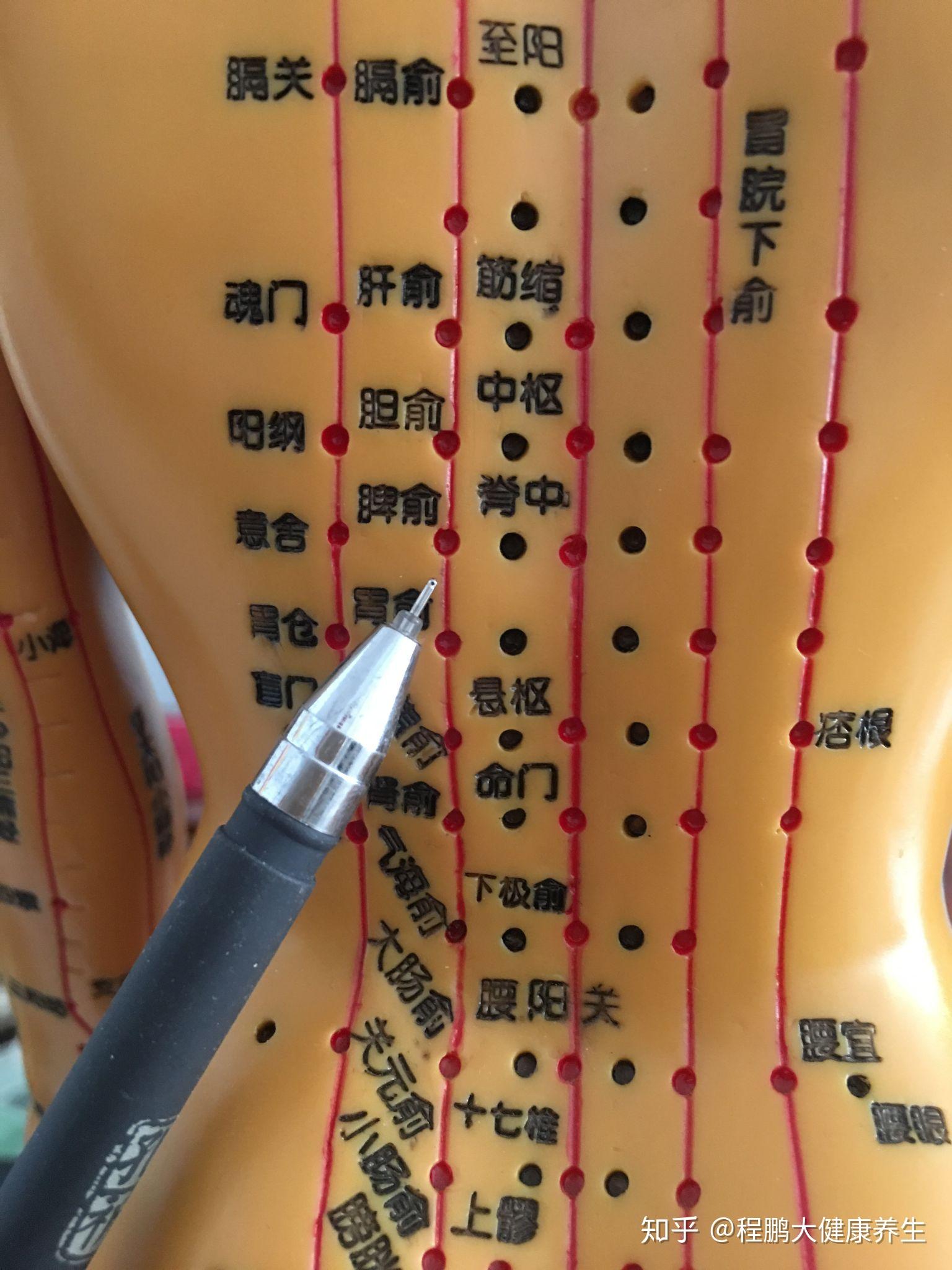 关注我每天带你学习中医养生艾灸病症调理呃逆