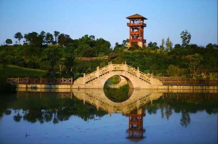 泸州张坝桂圆林图片