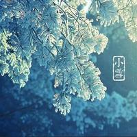 Zhihu profile picture for @famigo