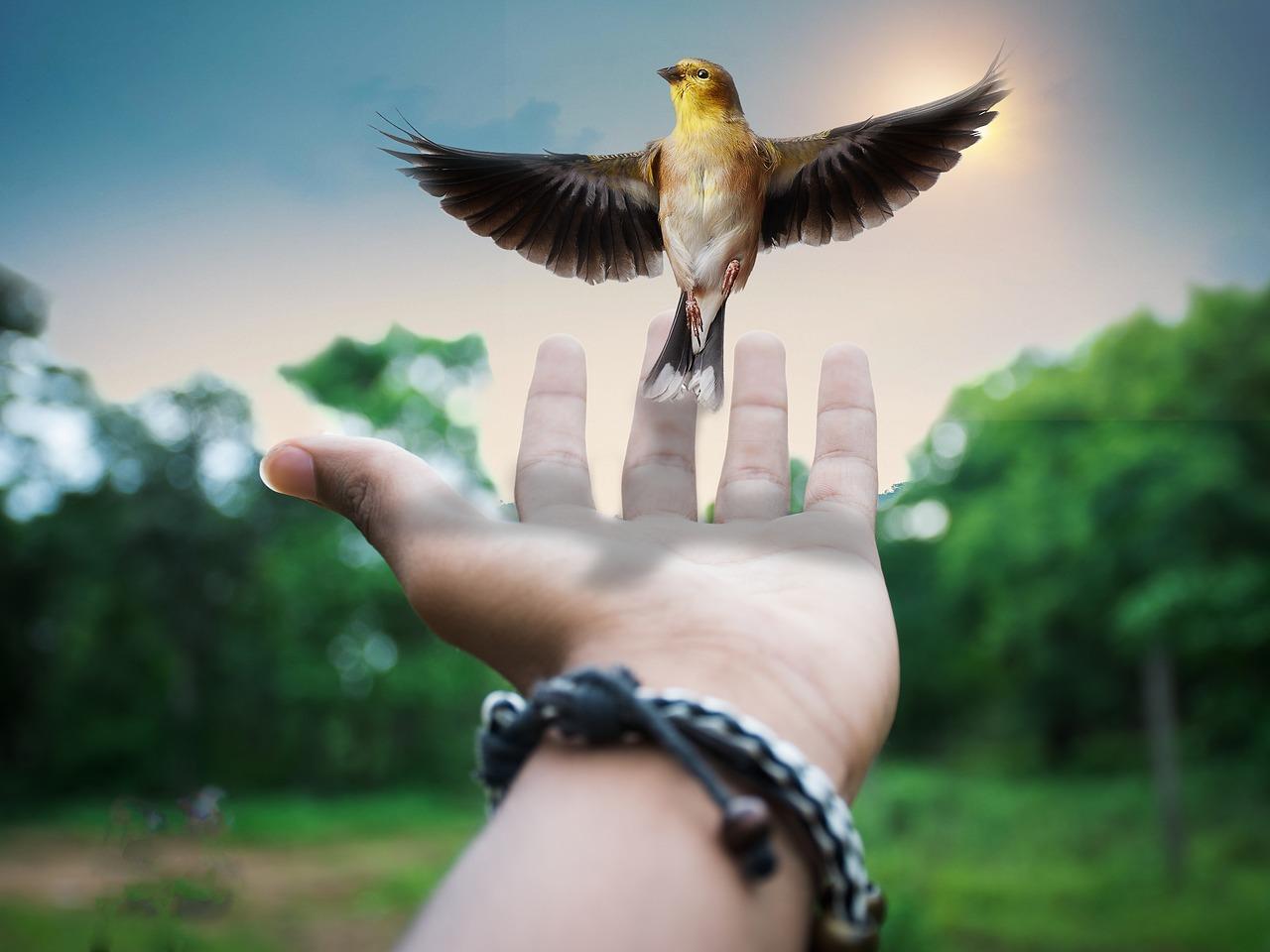 5. 智能家居科技