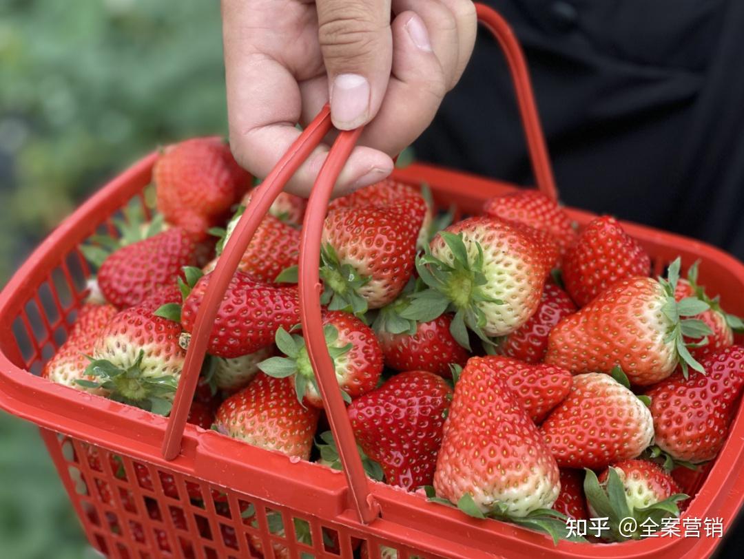 争创天府旅游名县|再见2022,细数那些时光里的小美好