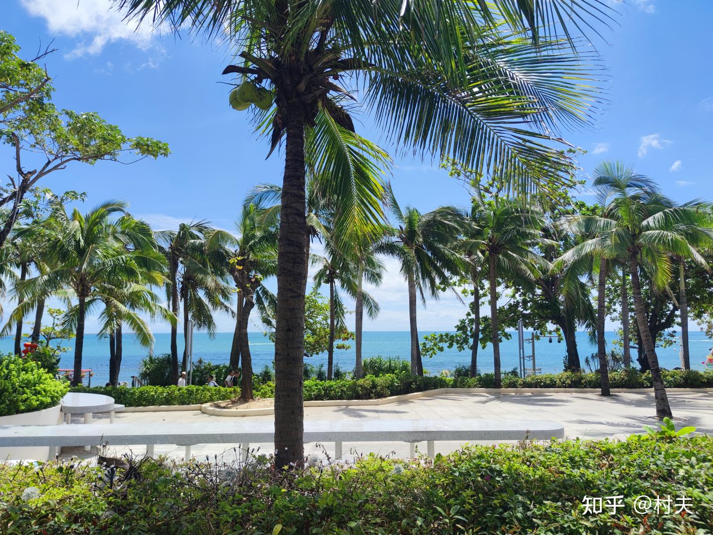海南旅游体验三亚篇(八)——大东海 - 知乎