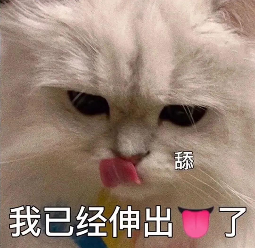 表情包 | 快说老婆我爱你 - 知乎