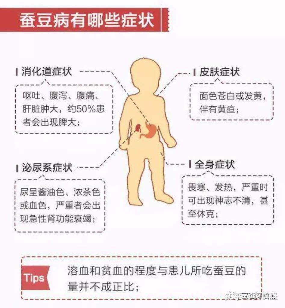 蚕豆病溶血尿图片图片