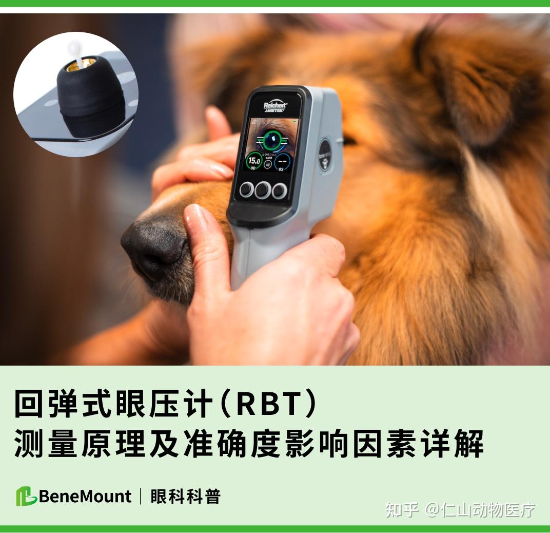 眼科科普|回弹式眼压计测量原理及准确度影响因素详解(建议收藏) - 知乎