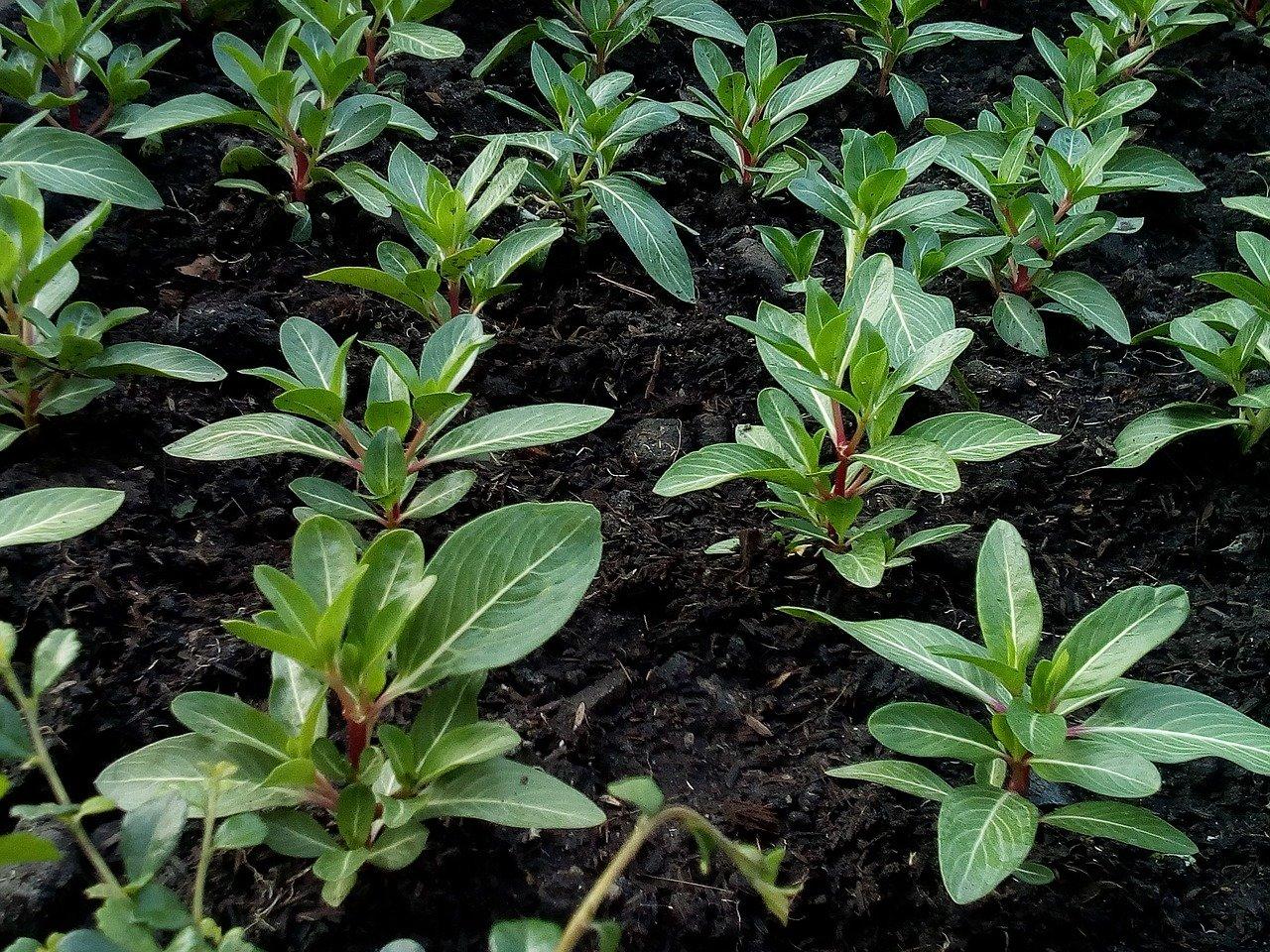 夏季混泥土如何养护