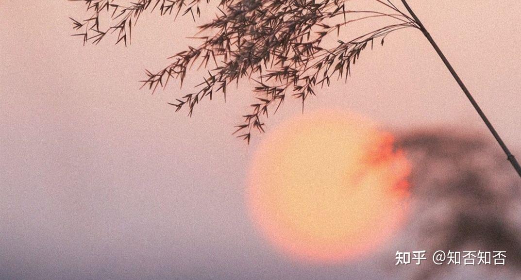 有哪些关于日落黄昏的绝美文案？ - 知乎