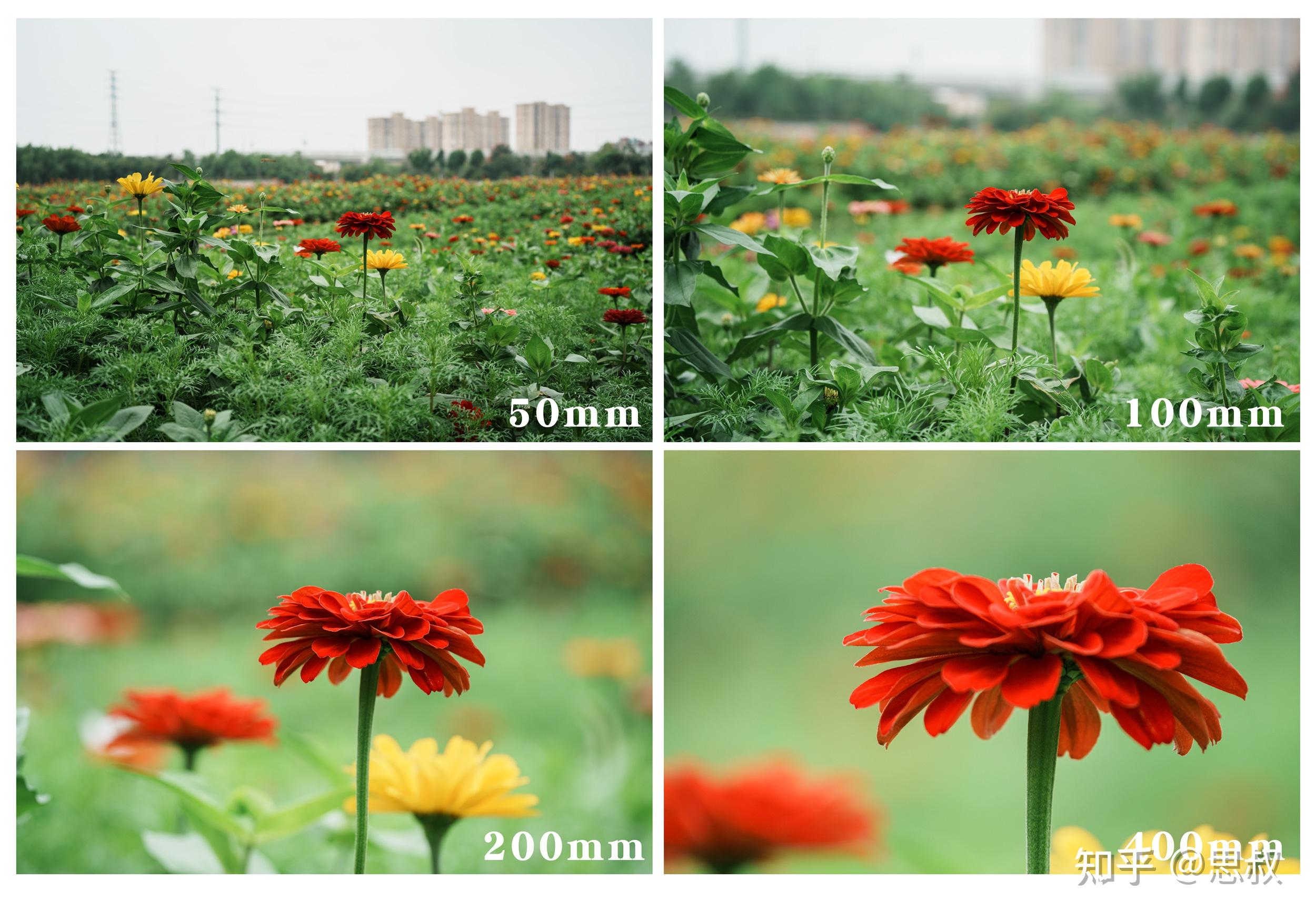 一枚多用途超长焦"八倍镜"--腾龙50-400mm f/4.5-6.