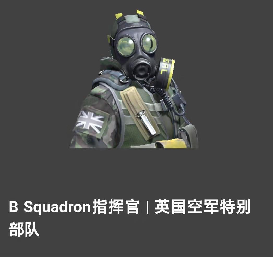 【cs: go/裂网大行动 】高级探员篇