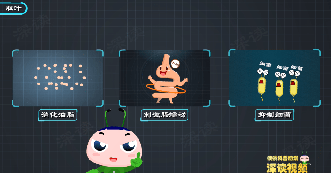 油恶心、腹泻、没胃口，快来看看你的胆汁是不是被胆管结石堵住了？ 知乎