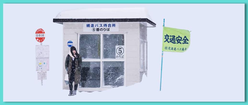 全世界都下雪的冬天 为什么一定要去北海道 知乎