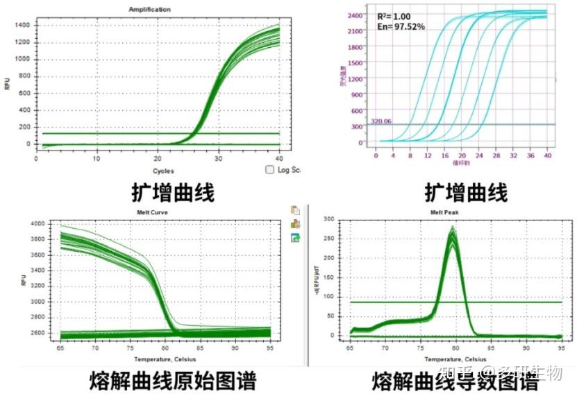《qPCR 曲线解密！一文吃透扩增与熔解曲线的 “隐藏密码”》 - 知乎
