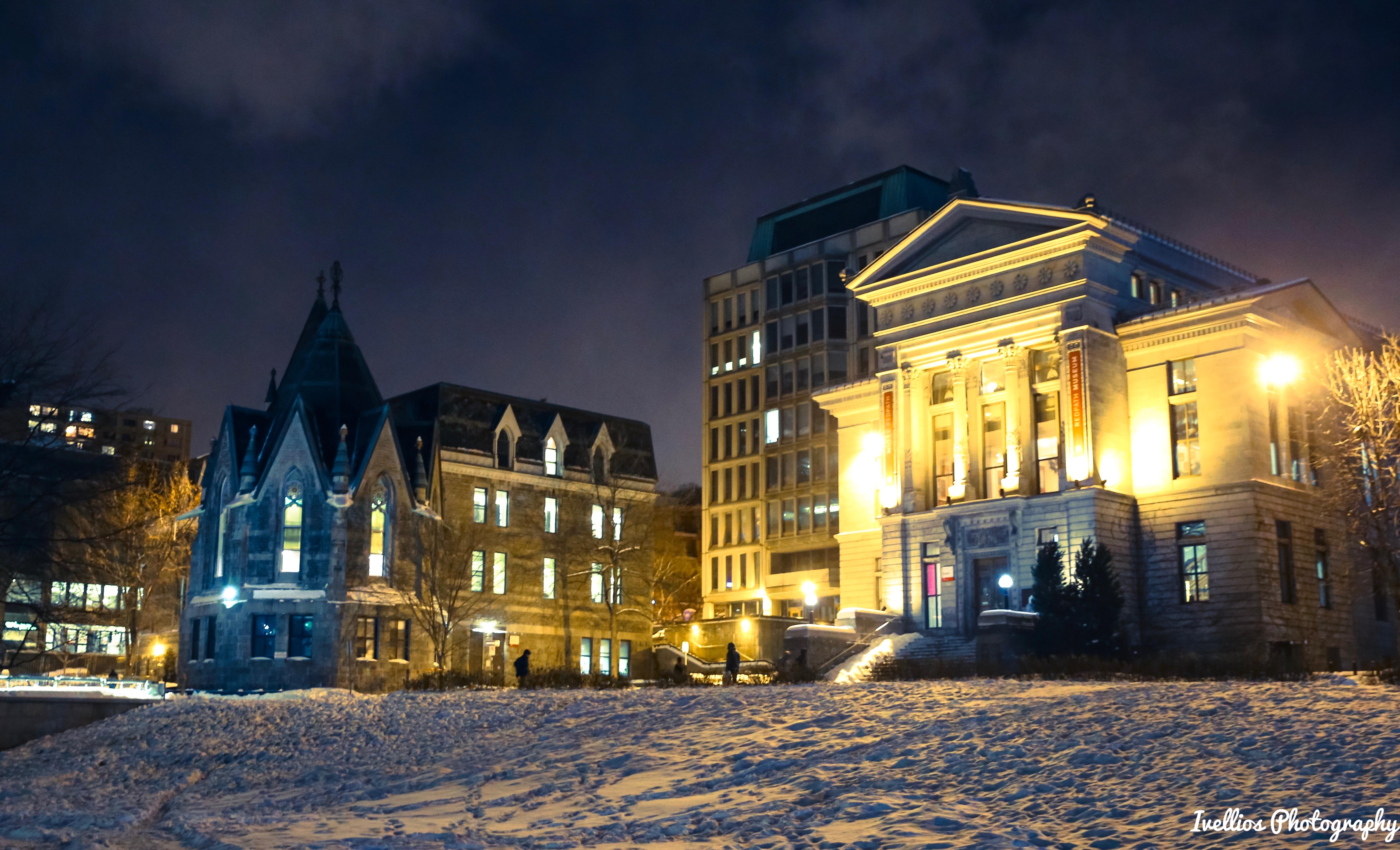 在麦吉尔大学 (mcgill university) 就读是怎样的体验? - 知乎