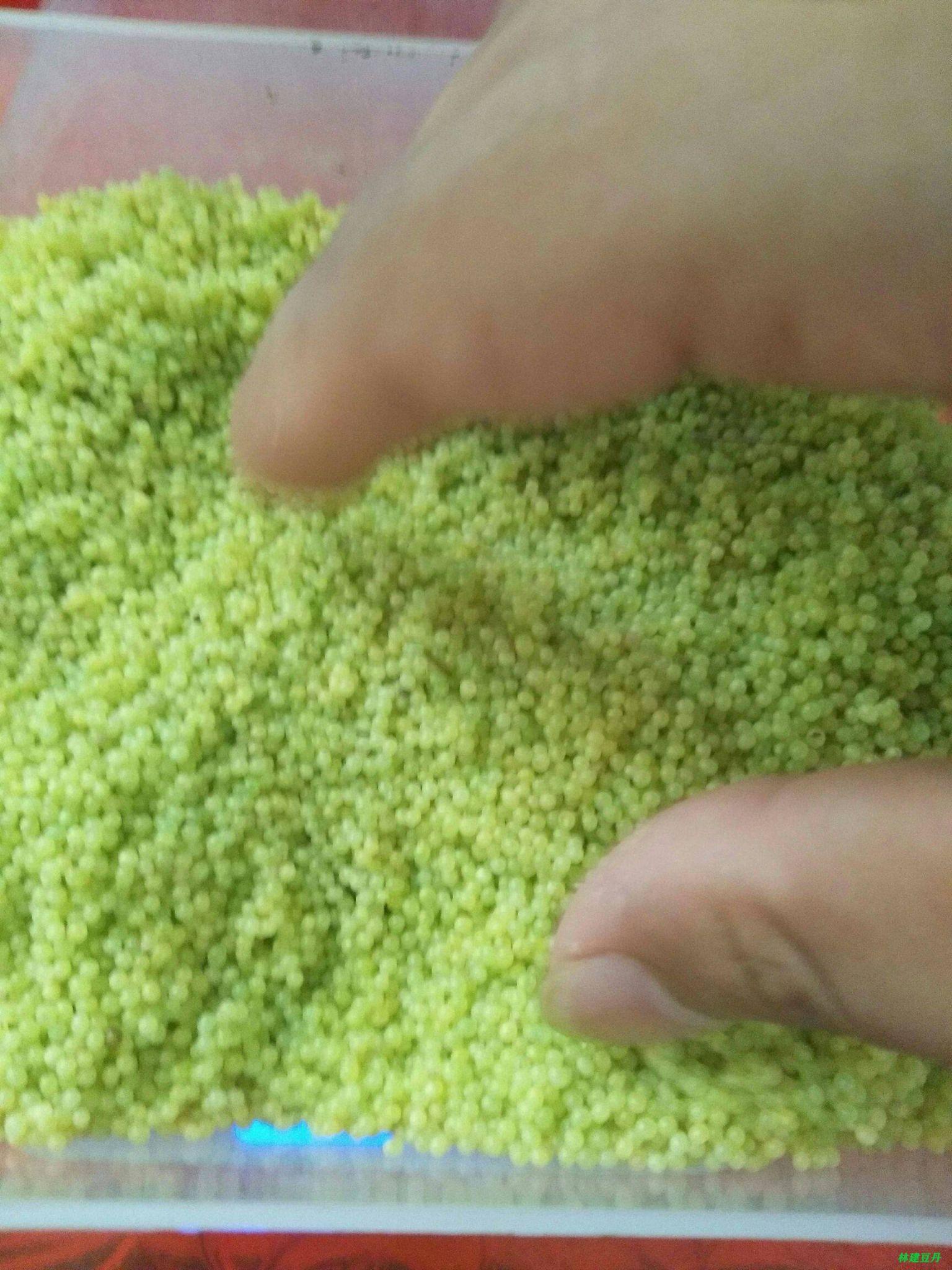 如今居然被不少地方的农民养殖,农田里种大豆却不收大豆,而是要收豆丹