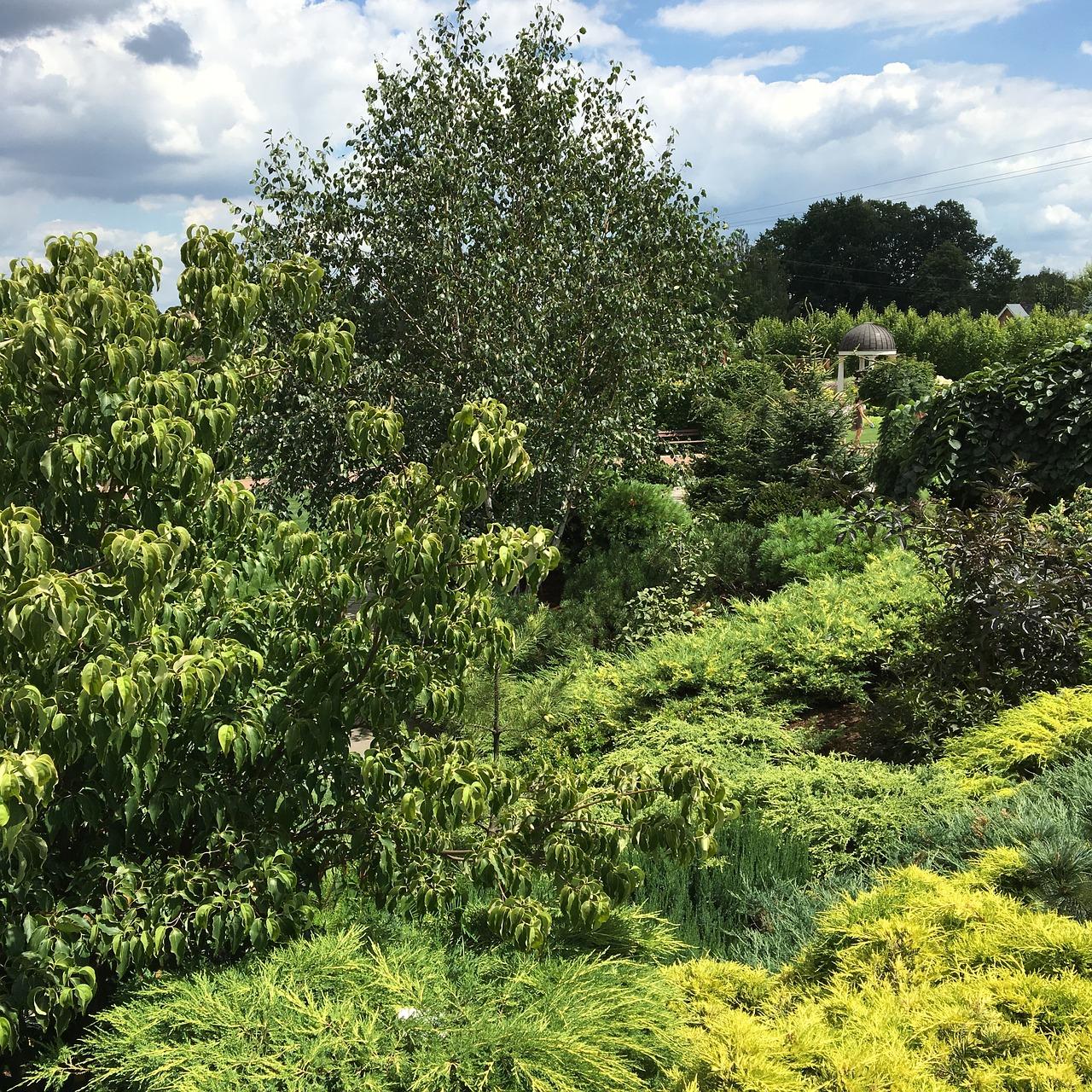 雪岭生态板怎么样