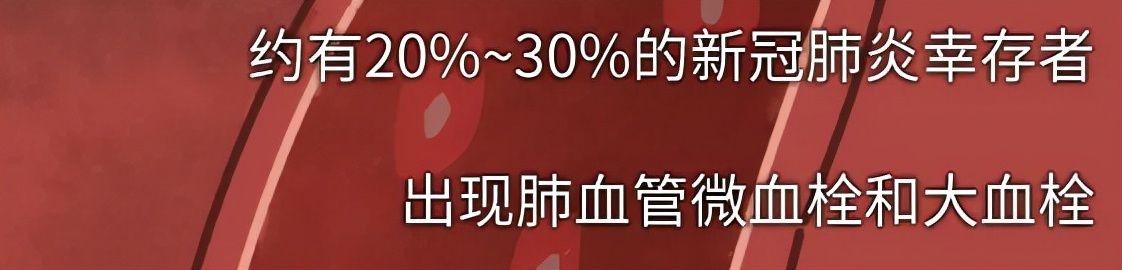  天津疫情病毒来源于哪里(天津疫情是怎么感染的)