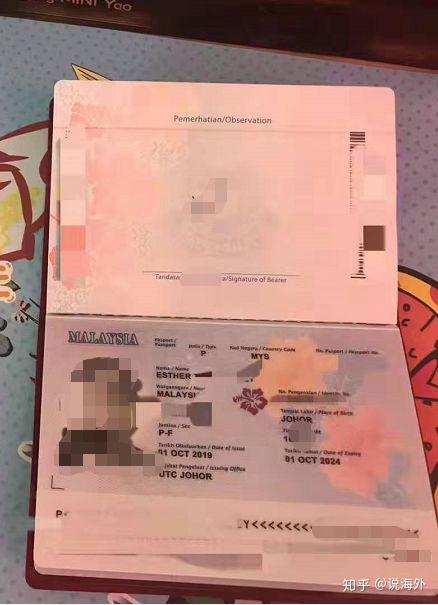 马来西亚护照到底有多好 受到这么多富豪喜爱 知乎