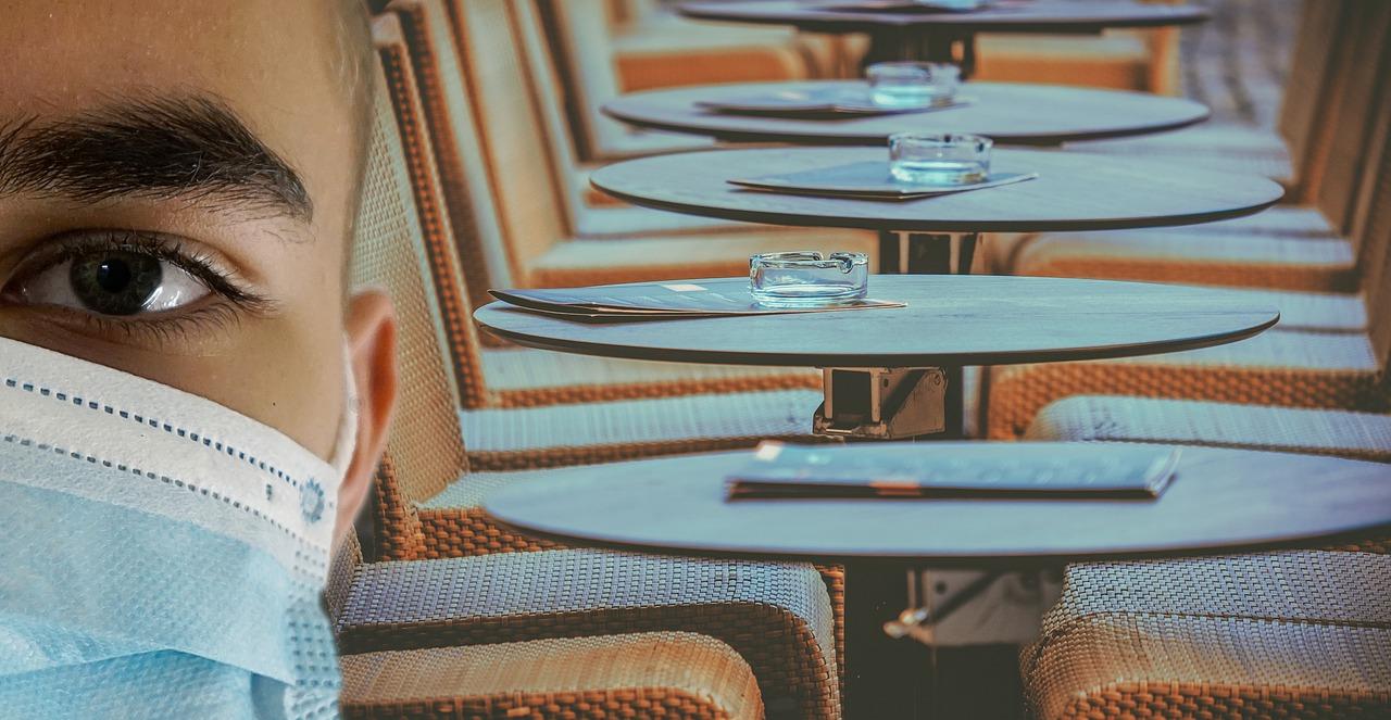 小清道夫多少钱一条