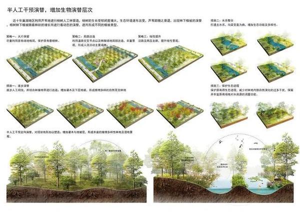 构建生态修复成功样板 合肥滨湖国家级湿地森林公园 - 知乎