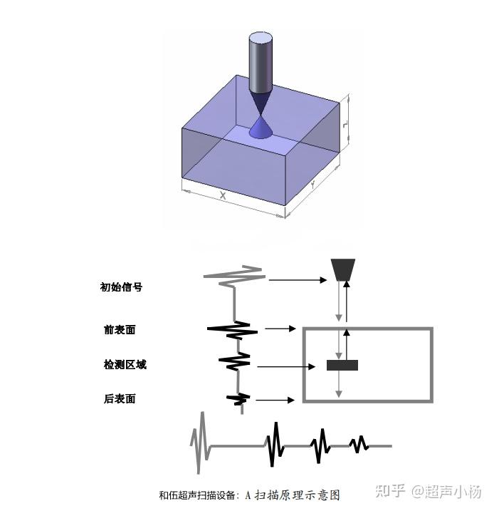 超声扫描显微镜 知乎 