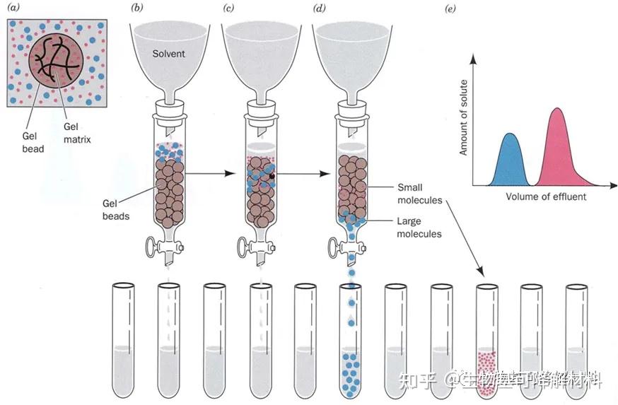 凝胶色谱法实验步骤图片