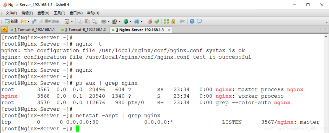 tomcat-nginx