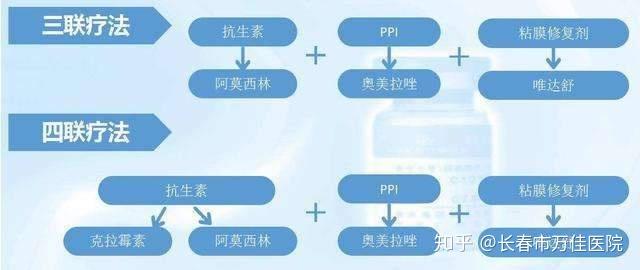 根除幽門螺旋桿菌需要多種藥物聯合治療,目前有三聯療法和四聯療法.