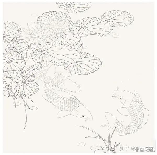 莲年有鱼白描图片