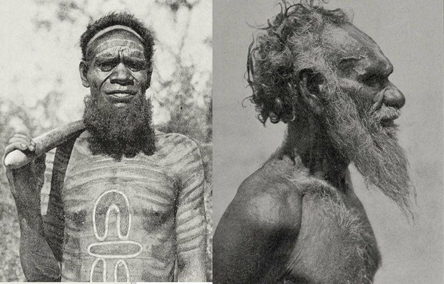 纳粹为什么会错误地将日耳曼人认为是雅利安人?