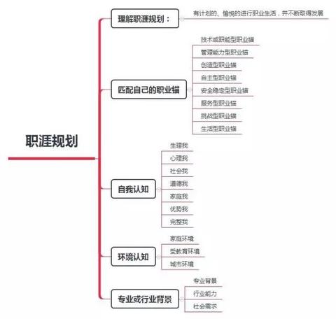 职业规划树状图怎么画图片