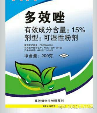 今年土地里使用多效唑明年种什么作物合适