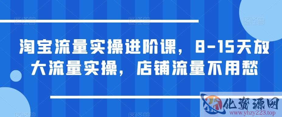 淘宝流量实操进阶课，8-15天放大流量实操，店铺流量不用愁