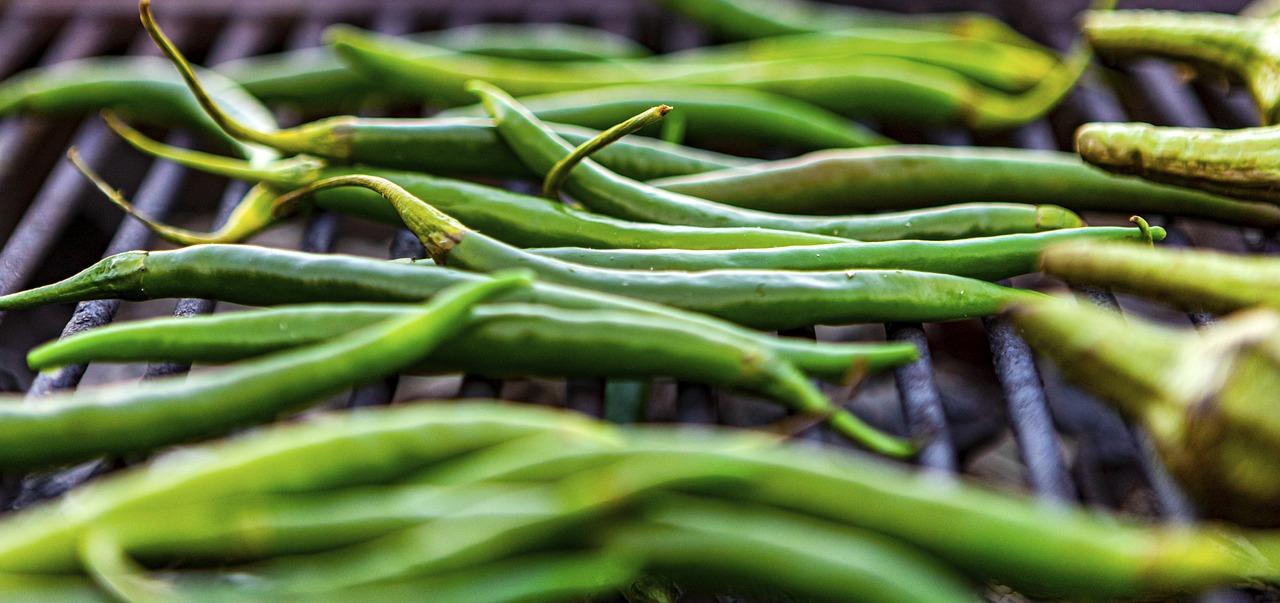 2. 烤鱼技巧分享