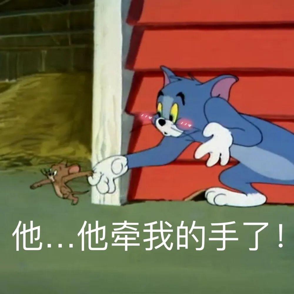 猫和老鼠无字表情包图片