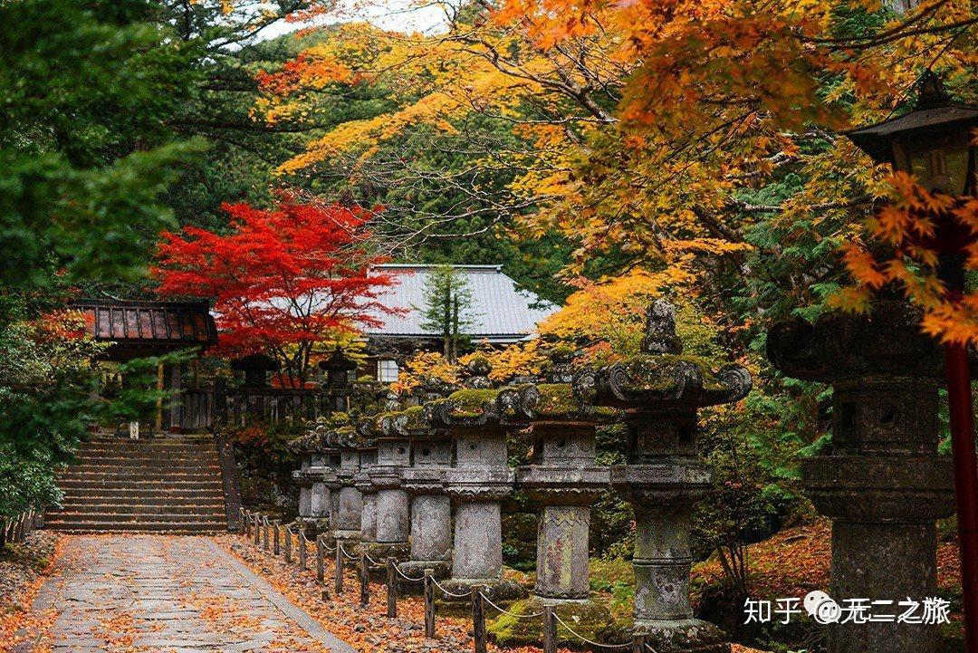 远离了熙熙攘攘的人群,在日光的山林和寺院间,藏着真正美好的秋天.