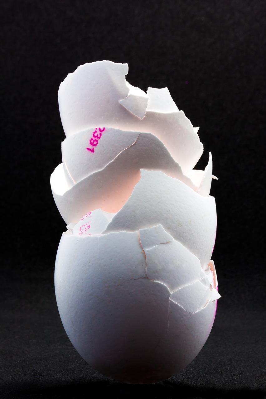 5. 免费账单查询