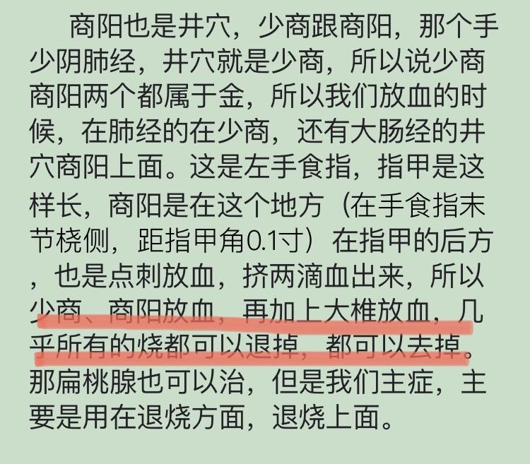 少商放血有什么好处图片