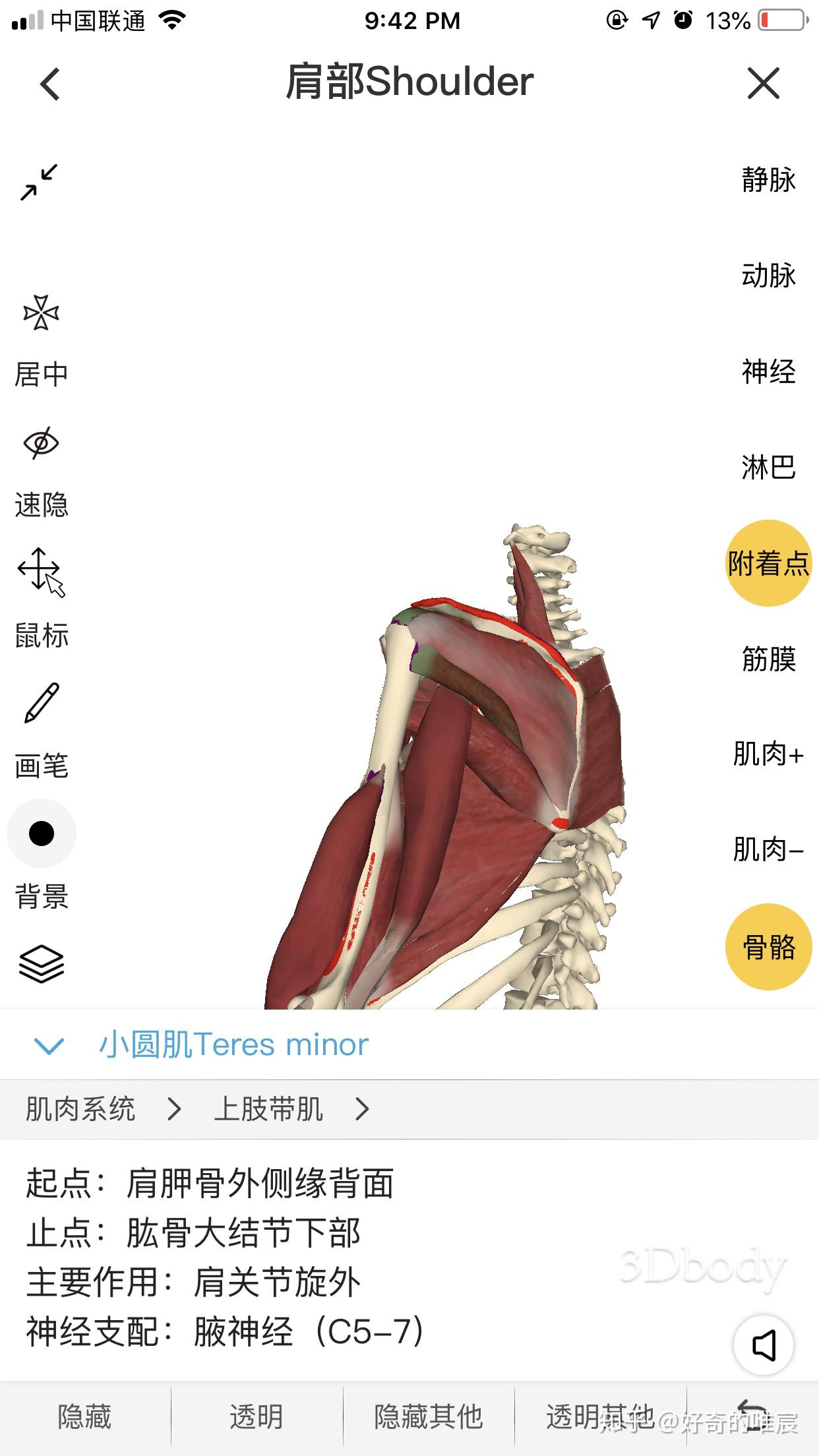 肩關節運動需求### 內收 內旋:我的理解是 有根本點在於肩胛骨脊柱緣