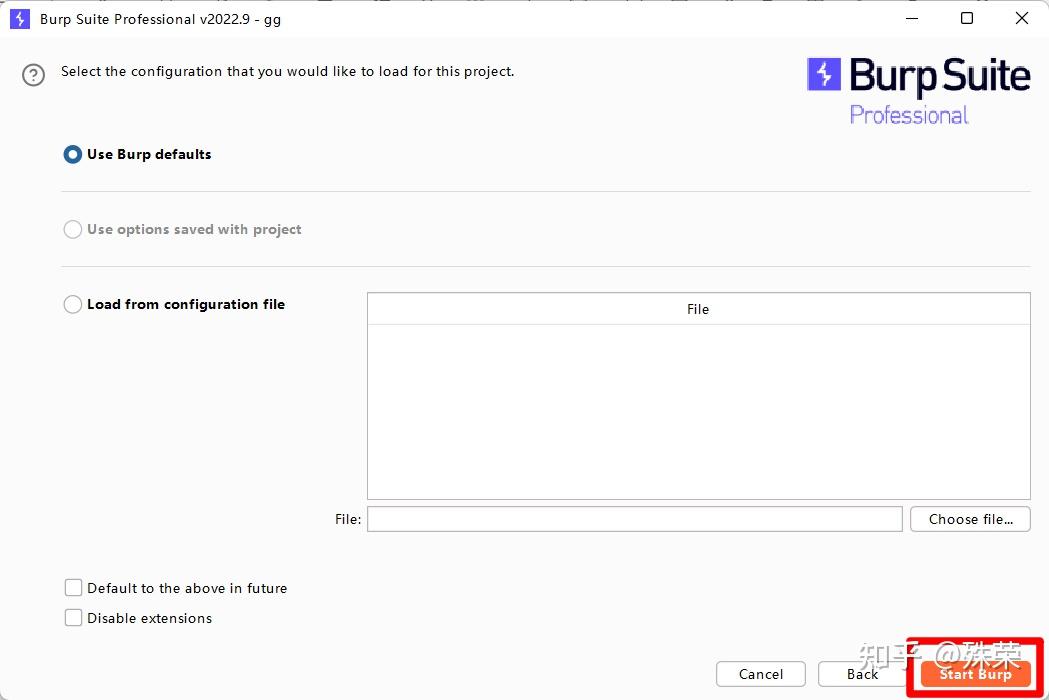 Burpsuite 
