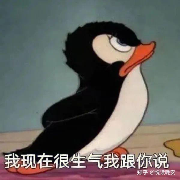 有什么好用的meme梗图和表情包搜索引擎或网站? - 知乎
