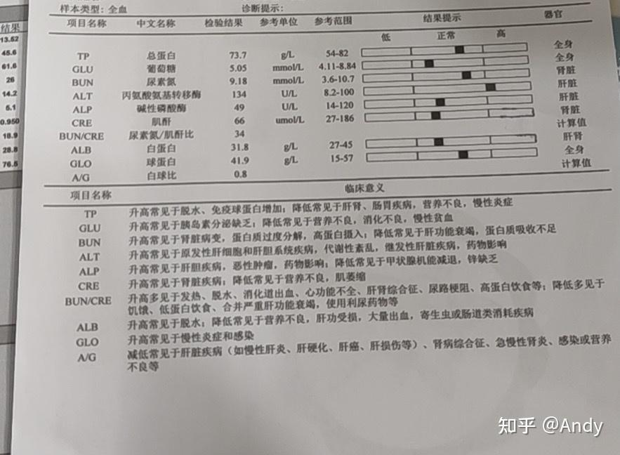 在血常規報告裡也有好多個異常值,血紅蛋白235.