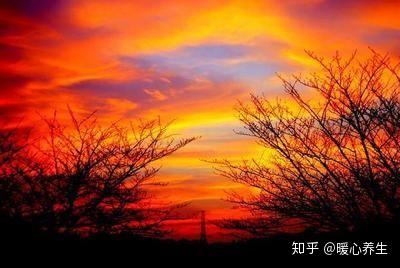 v2-ed8cf7097ce83238bd56ae07c7ad9fa4_b.jpg