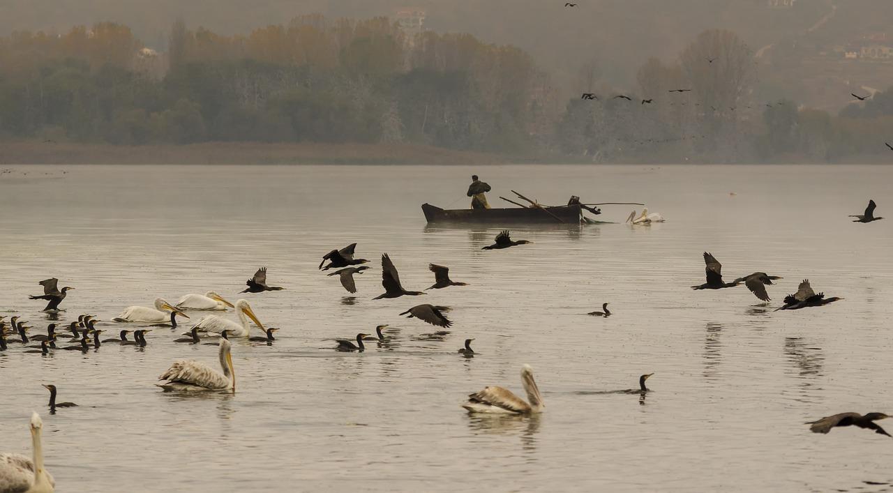 3. 枯桃特色民居