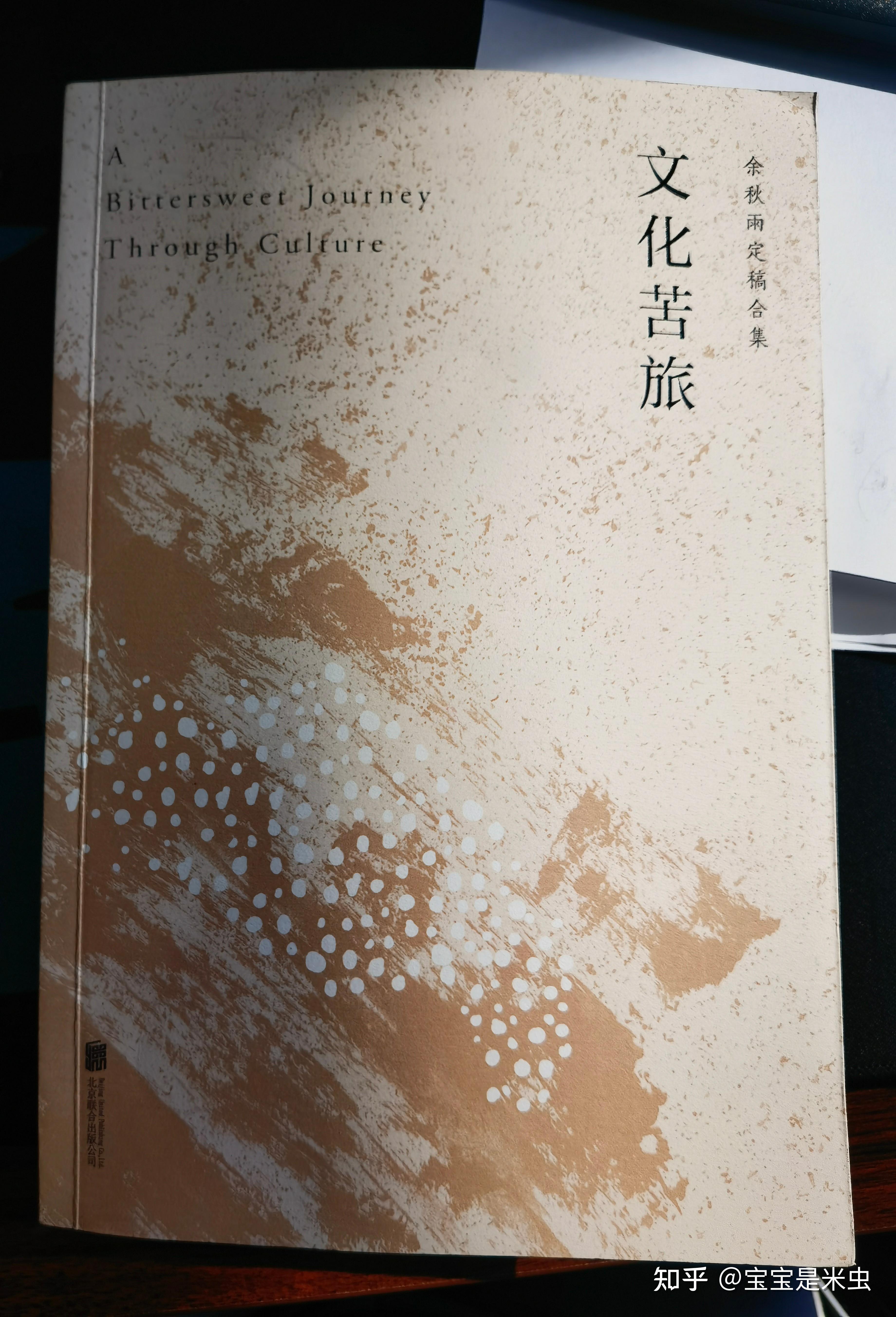 文化苦旅的读后感