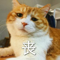 Zhihu profile picture for @cliche