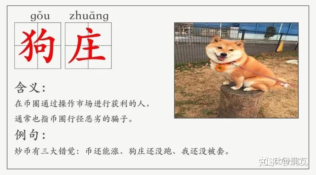 狗庄一把梭思慕学会了黑话才能行走江湖