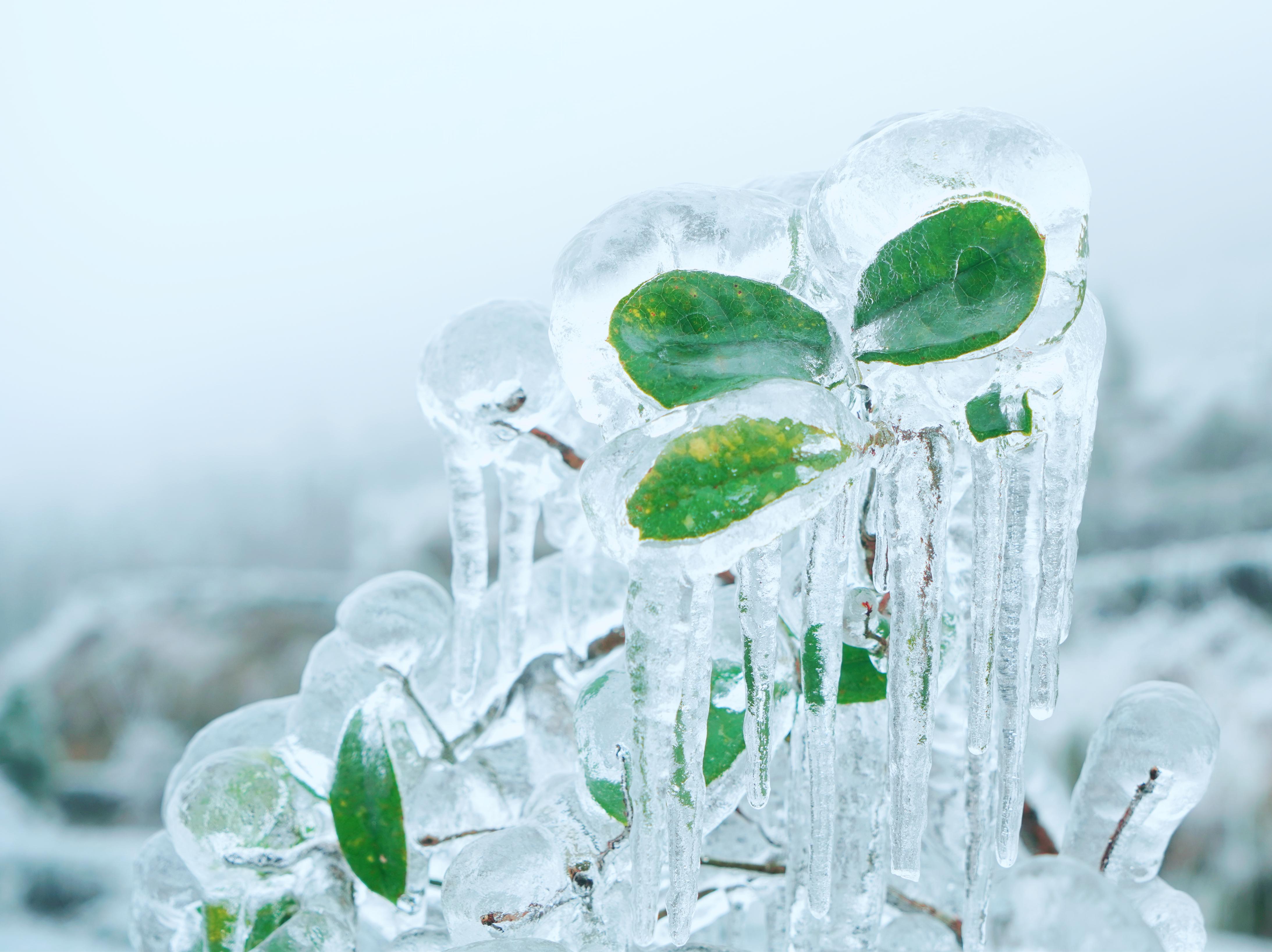 最美雨凇在皇后山