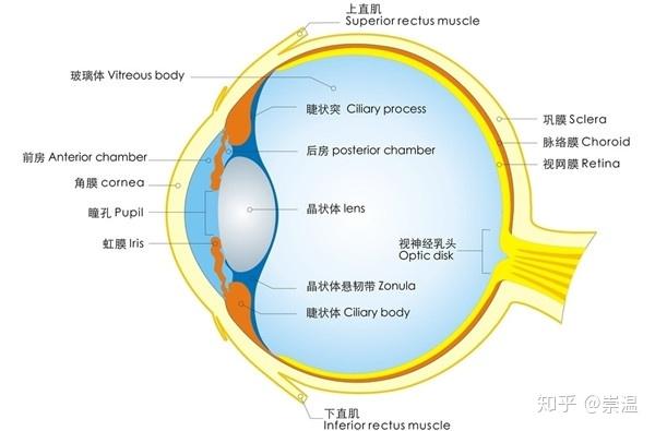 没事别乱用洗眼液 洗不好要出问题 知乎